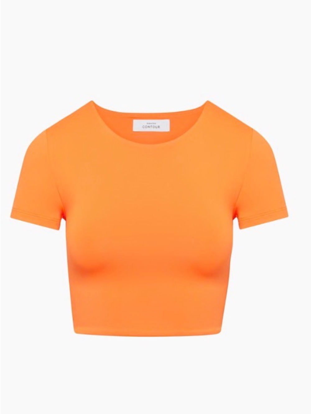 Aritzia Contour Crop Tee